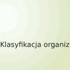 Co to jest systematyka w biologii i jak wpływa na klasyfikację organizmów