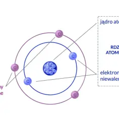 Schematyczny rysunek atomu z jądrem (protony i neutrony) oraz krążącymi elektronami na orbitach.