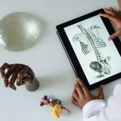 Jakie kierunki po biol chemie? Odkryj najlepsze możliwości edukacyjne
