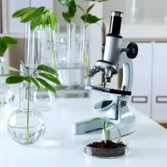Biologia sądowa czy warto? Odkryj korzyści i możliwości kariery