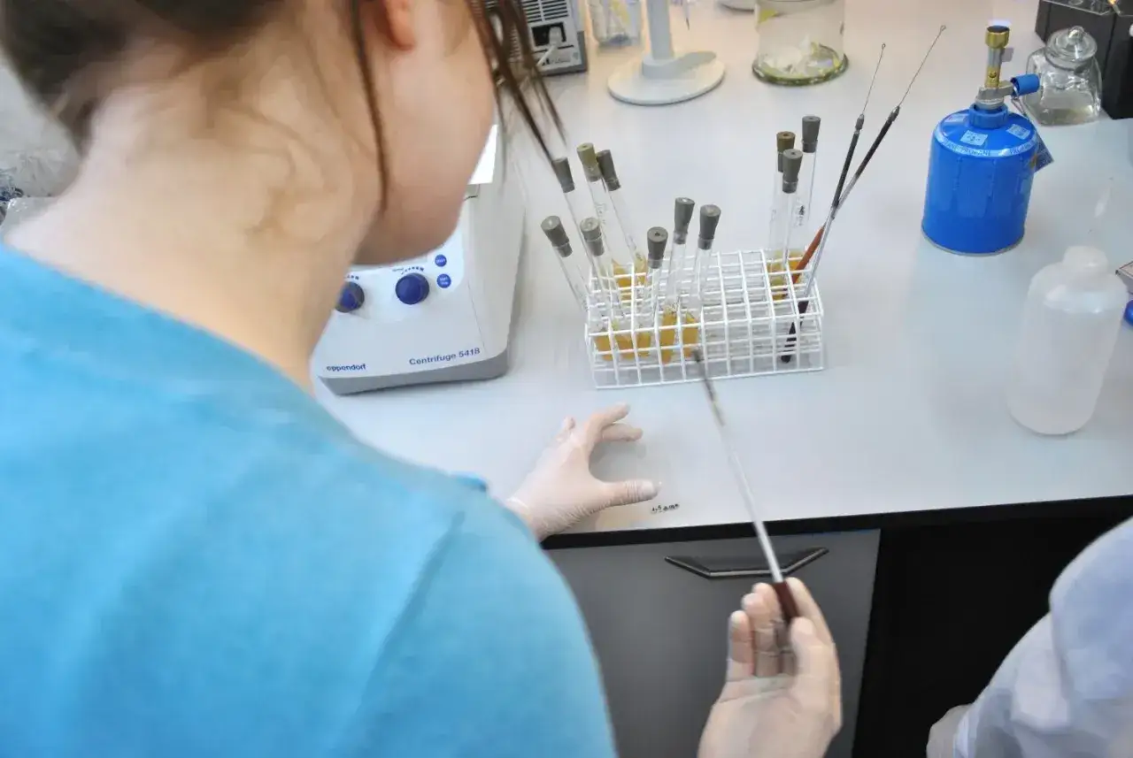 Zdjęcie Biologia sądowa czy warto? Odkryj korzyści i możliwości kariery