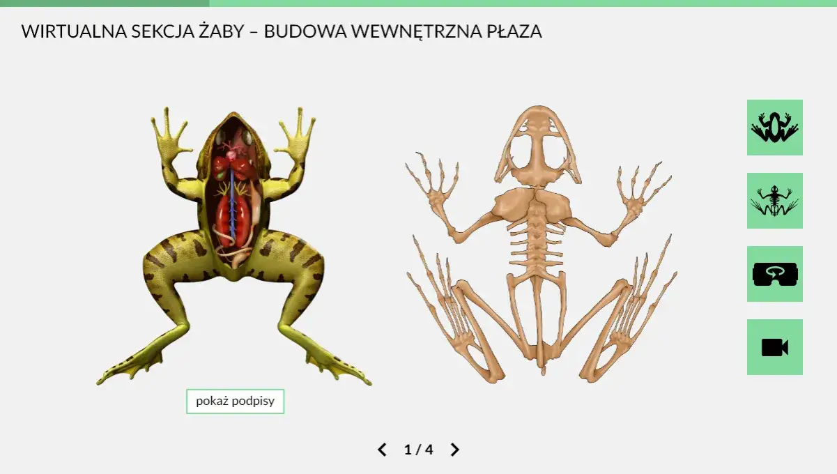 Zdjęcie Czym zajmuje się biologia? Odkryj fascynujące obszary tej nauki