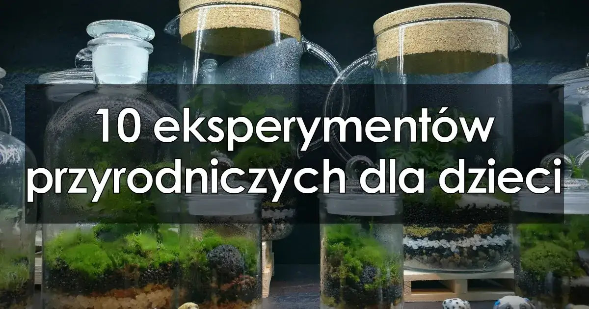 Zdjęcie Eksperymenty z ziemią dla dzieci – proste i fascynujące zabawy przyrodnicze