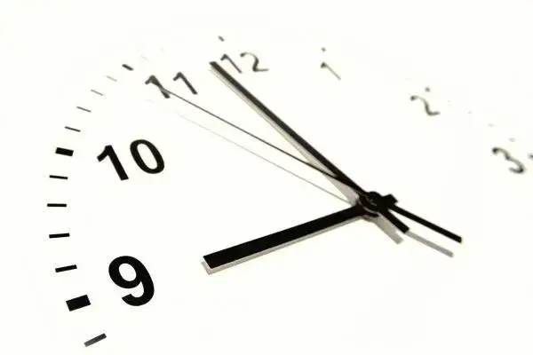 Zdjęcie Ile trwa matura rozszerzona z biologii? Odkryj, co musisz wiedzieć