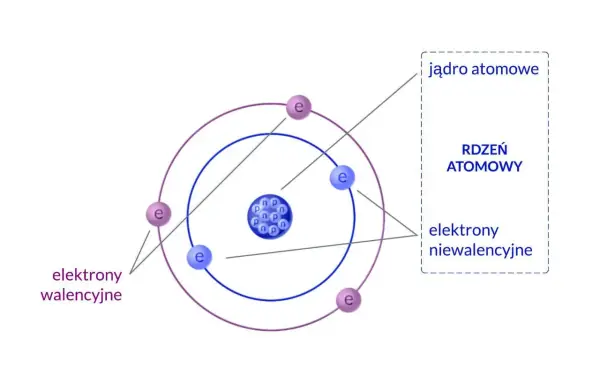 Jak zbudowany jest atom? Odkryj tajemnice jego struktury